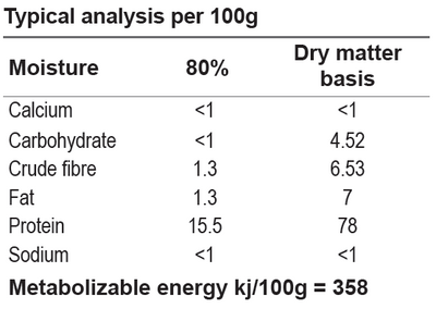 Kangaroo Single Protein