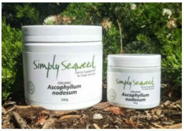 Simply Seaweed Dental Supplement for Dogs 400g