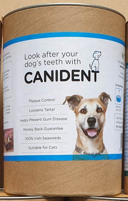 Canident