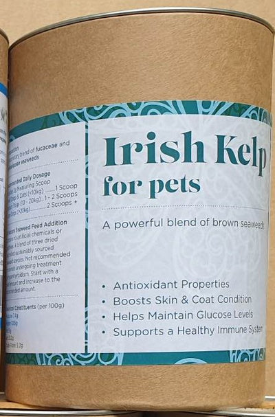 Irish Kelp