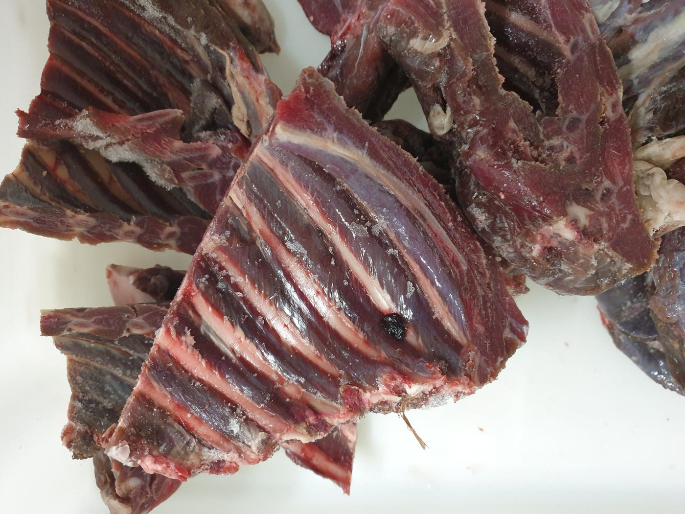 Kangaroo Ribs