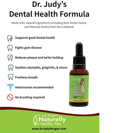Dr. Judy Morgan's Dental Health Formula