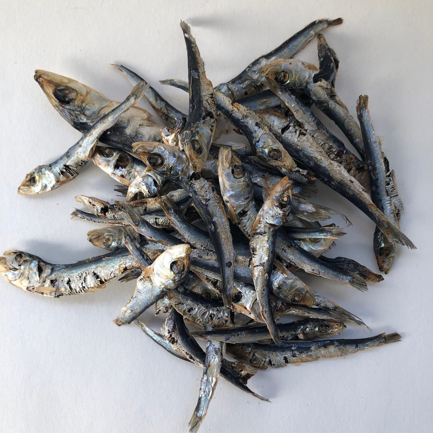 Little Fish
