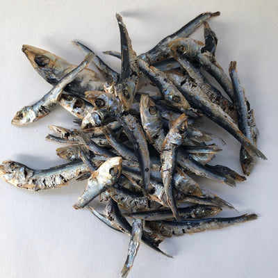 Little Fish