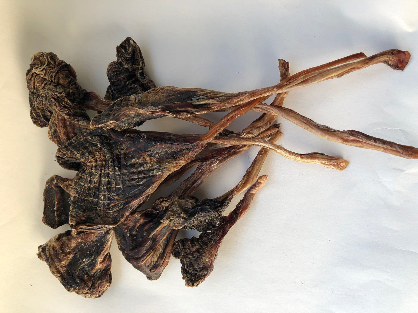 Roo Pops (Kangaroo Tendons)