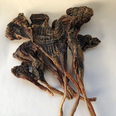 Roo Pops (Kangaroo Tendons)